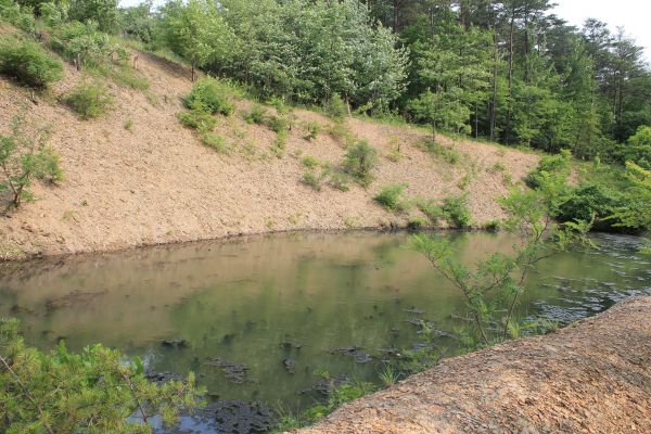 Cost of Pond Erosion Repair in Overland Park